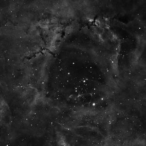 Meet your Posher, Cole